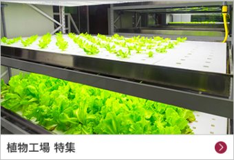 植物工場 特集