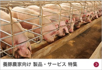 養豚農家向け 製品・サービス 特集