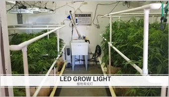植物の育成に特化したLED照明「LED GROW LIGHT」