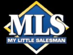 My Little Salesman