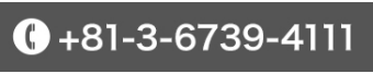 +81-3-6739-4111