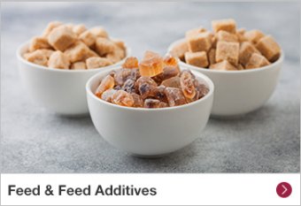 Feed & Feed Additives