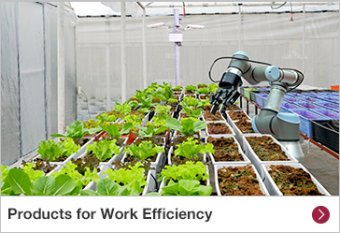 Products for Work Efficiency