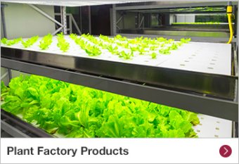 Plant Factory Products