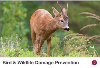 Bird & Wildlife Damage Prevention