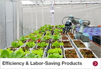 Efficiency & Labor-Saving Products