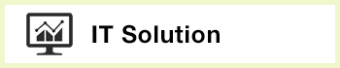 IT Solution