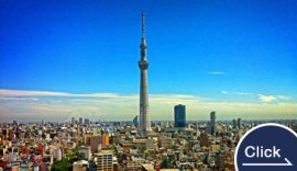 Tokyo Sightseeing 
