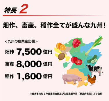 特長2　畑作、畜産、稲作全てが盛んな九州！