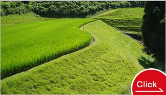 Labour-saving weeding operations