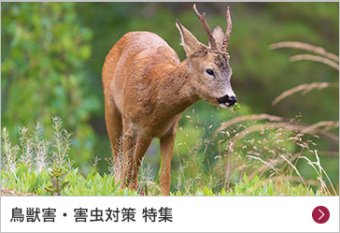 鳥獣害・害虫対策 特集