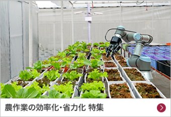 農作業の効率化・省力化 特集