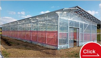 Photovoltaic Greenhouse