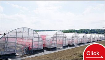 High-performance greenhouses