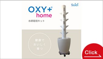 家庭用水耕栽培キット　OXY+ home