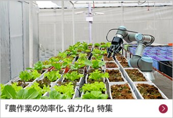『農作業の効率化、省力化』特集