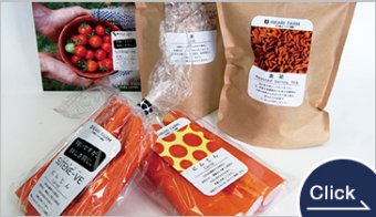 HIKARI FARM 自然農法ひかり農園