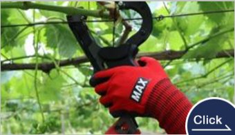 果菜類・つる性植物向け 園芸用結束機テープナー
