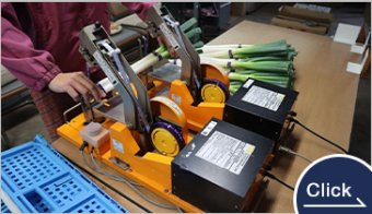 マックス野菜結束機　おびまる