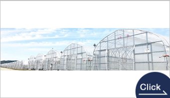 High-performance Greenhouse Solutions