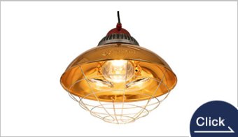 Brooder Lamp (JKBL-450)