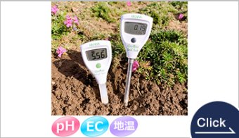 ソイルテストブラザーズ
