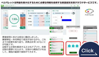 農業経営支援クラウドサービス「ベジパレット」