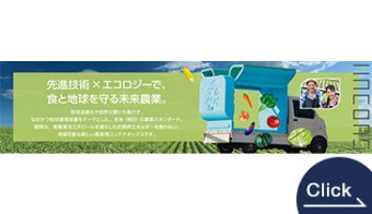 Sustainable Agricultural Container Box "Hakumei"