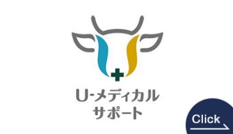 U-Medical Support