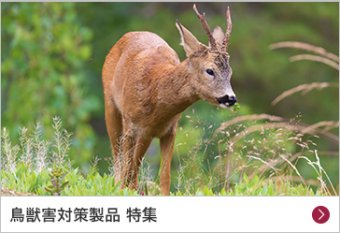 鳥獣害対策製品 特集
