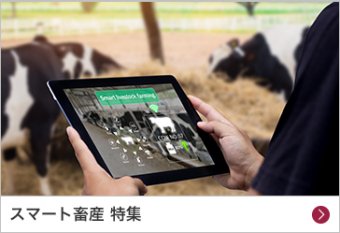 スマート畜産 特集
