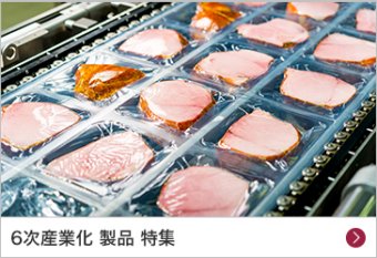 6次産業化 製品 特集