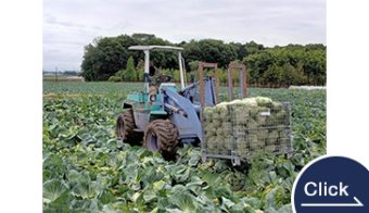 加工野菜の大量輸送なら『メッシュボックスパレット』