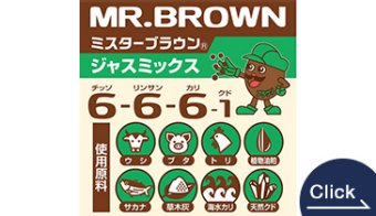 ミスターブラウン６６６／ジャスミックス