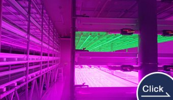 Plant Cultivation LED Lighting GFL Series, AZ Series