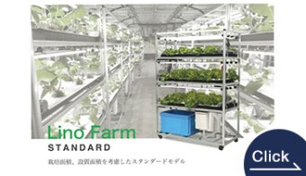 Hydroponic Cultivation Shelf (Standard)