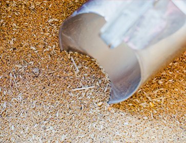 Feed & Feed Additives Zone